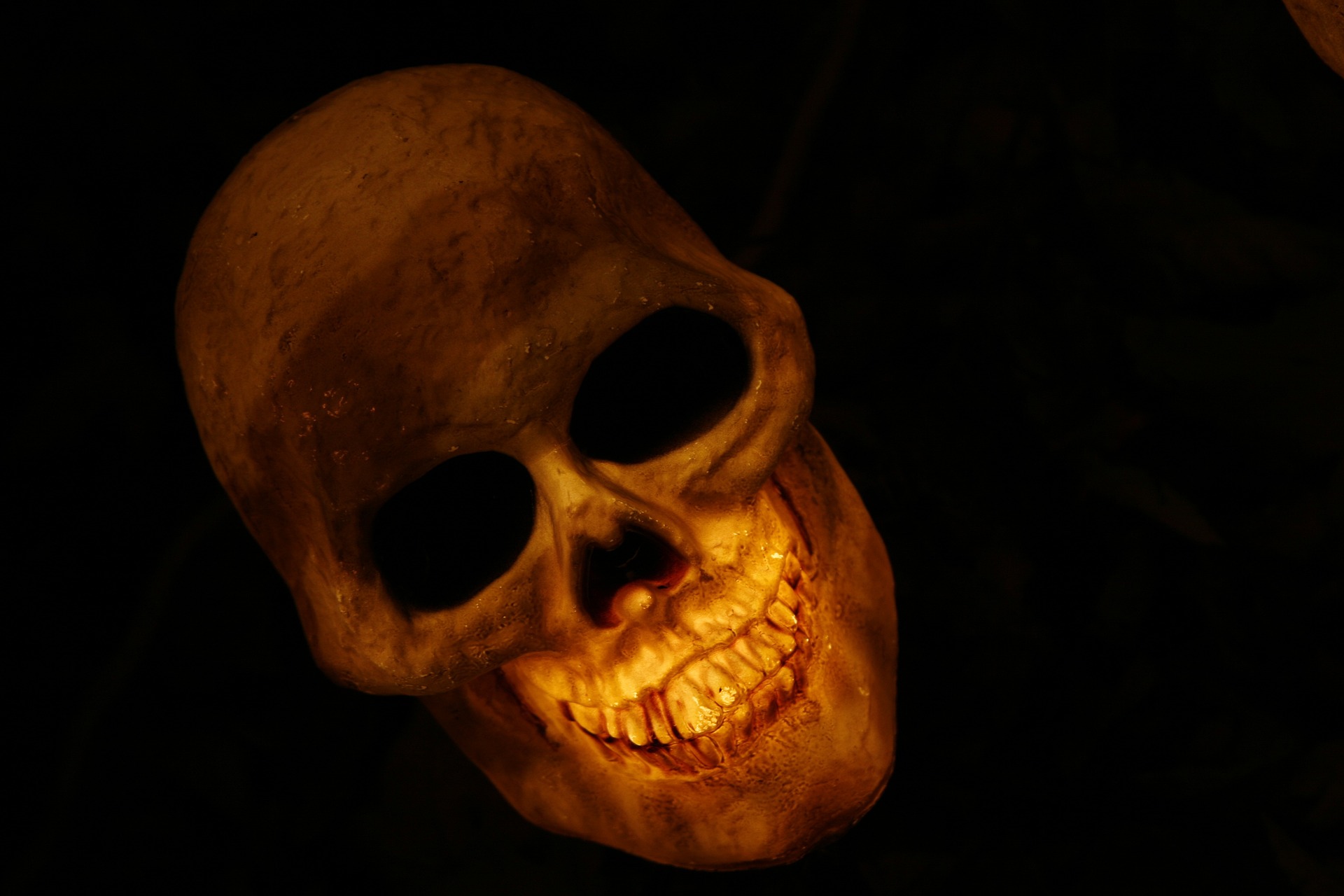 skull-570975_1920